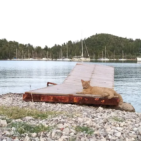 A4 - Rosemary Нидри